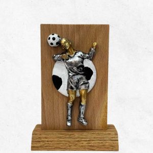 Trofeo Individuale in Legno 2