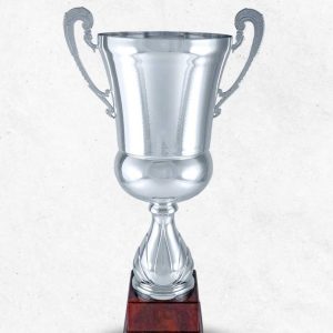 Coppa singola Argentea 2