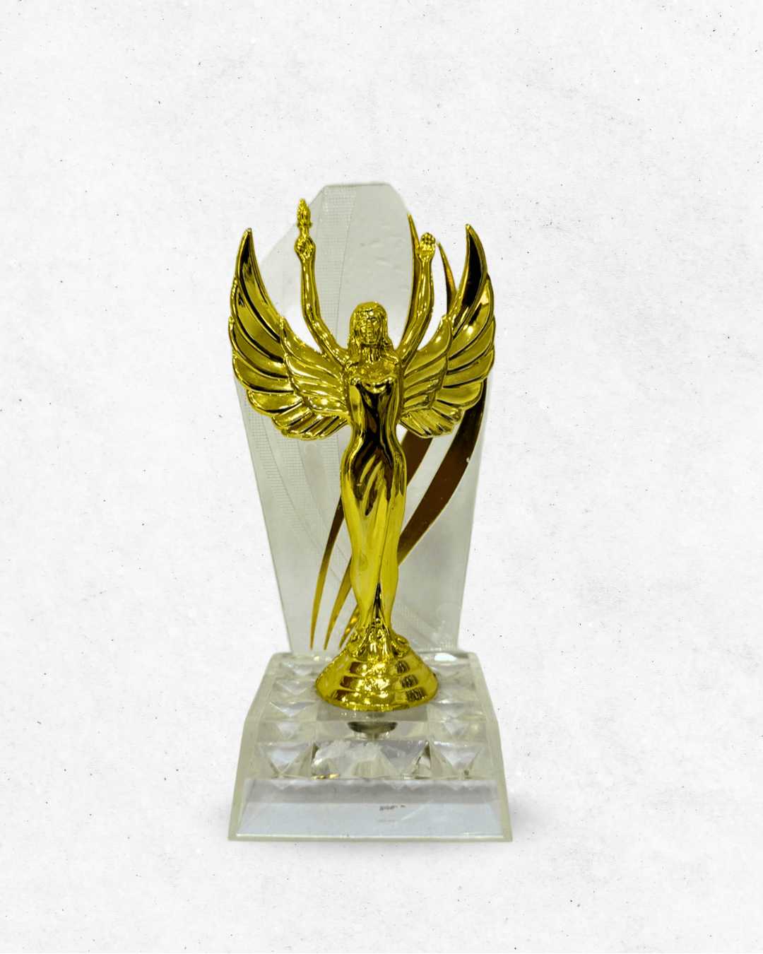 Trofeo piccolo Angelo della Vittoria 2