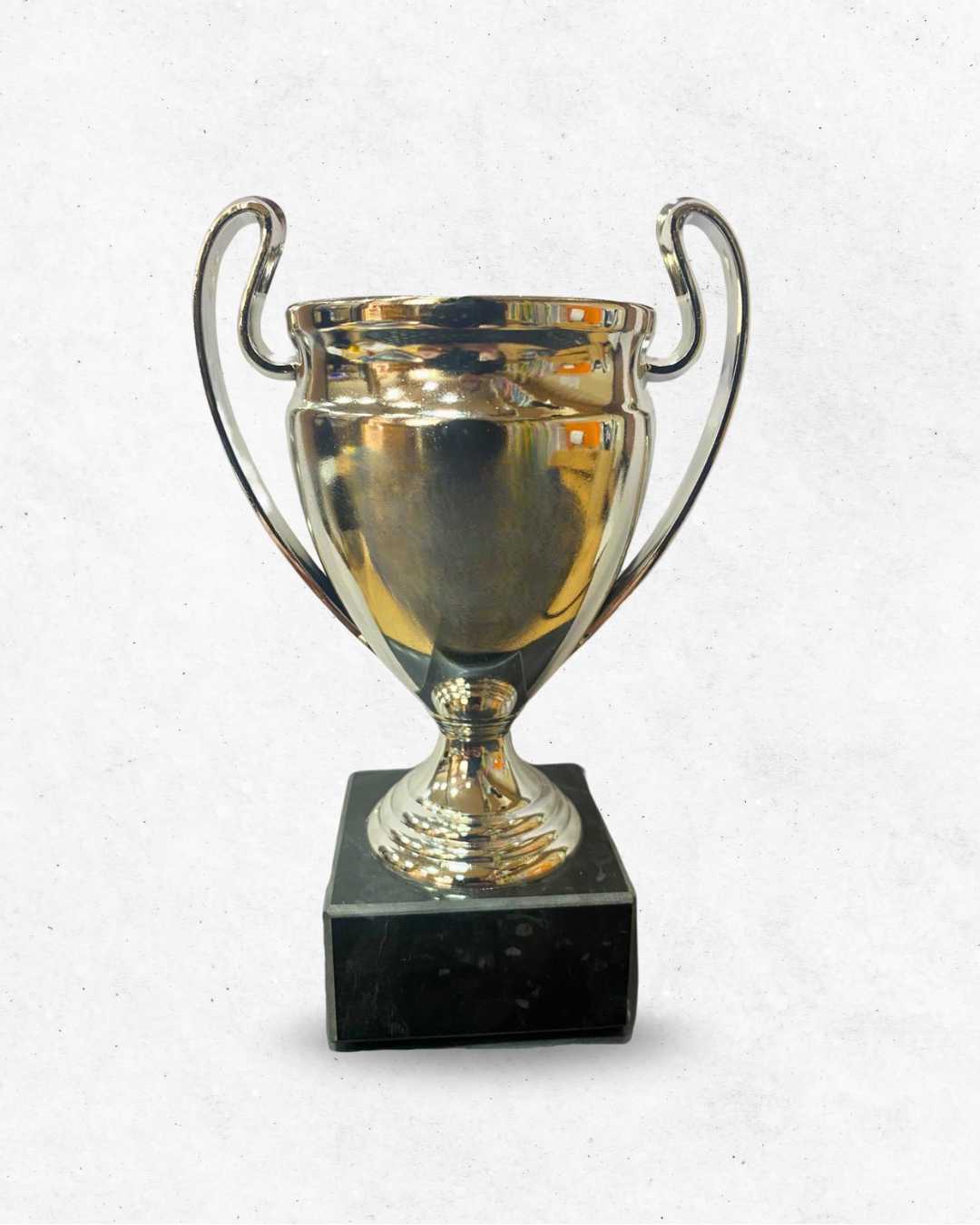 Coppa piccola Champions