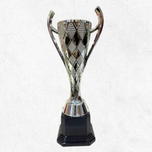 Coppa piccola Champions 3