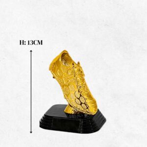 Trofeo scarpetta d’oro