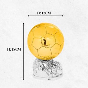 Trofeo pallone d’oro