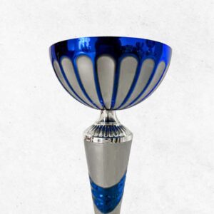 Tris di Coppe: Fascia Azzurra