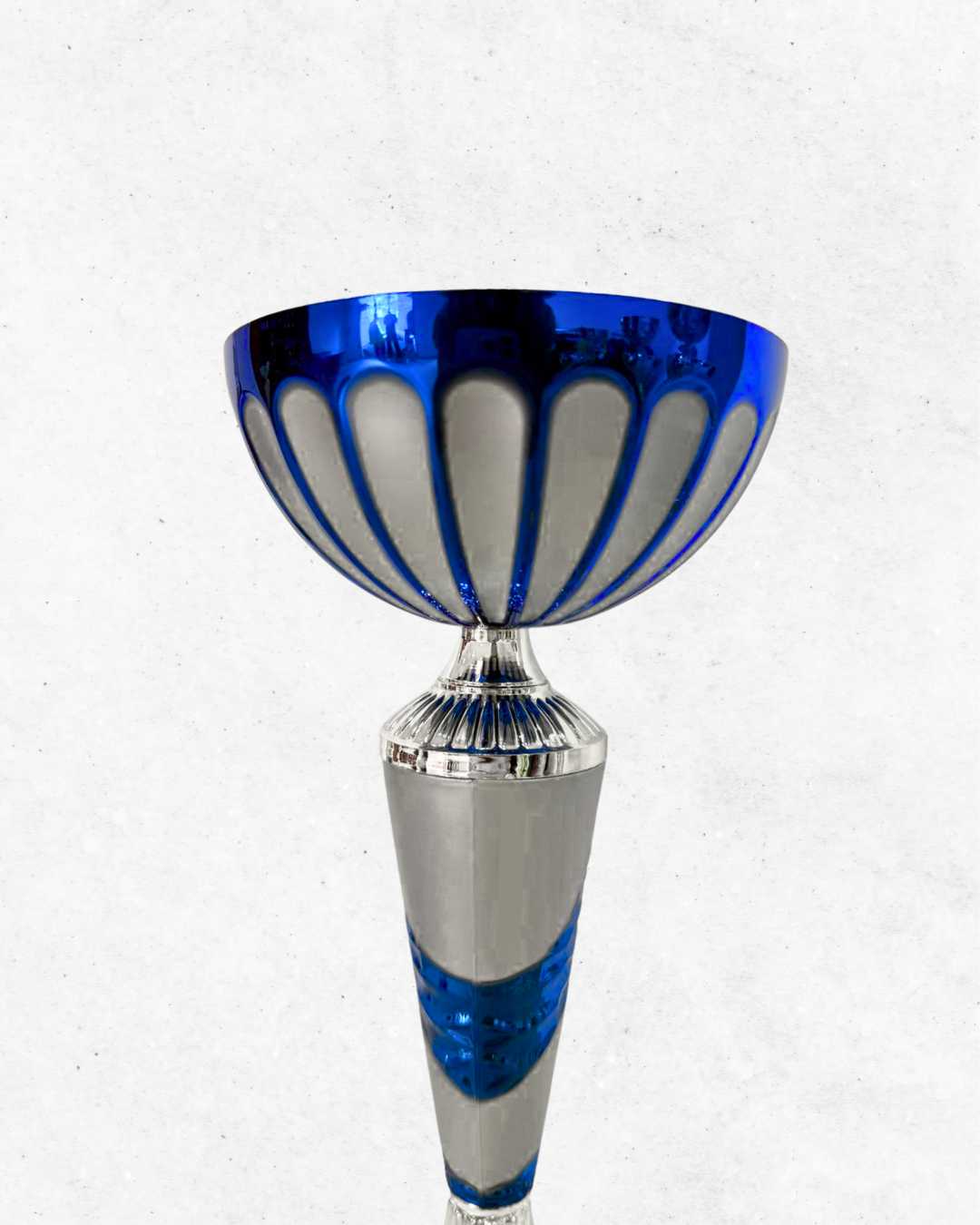 Tris di Coppe: Fascia Azzurra - immagine 2