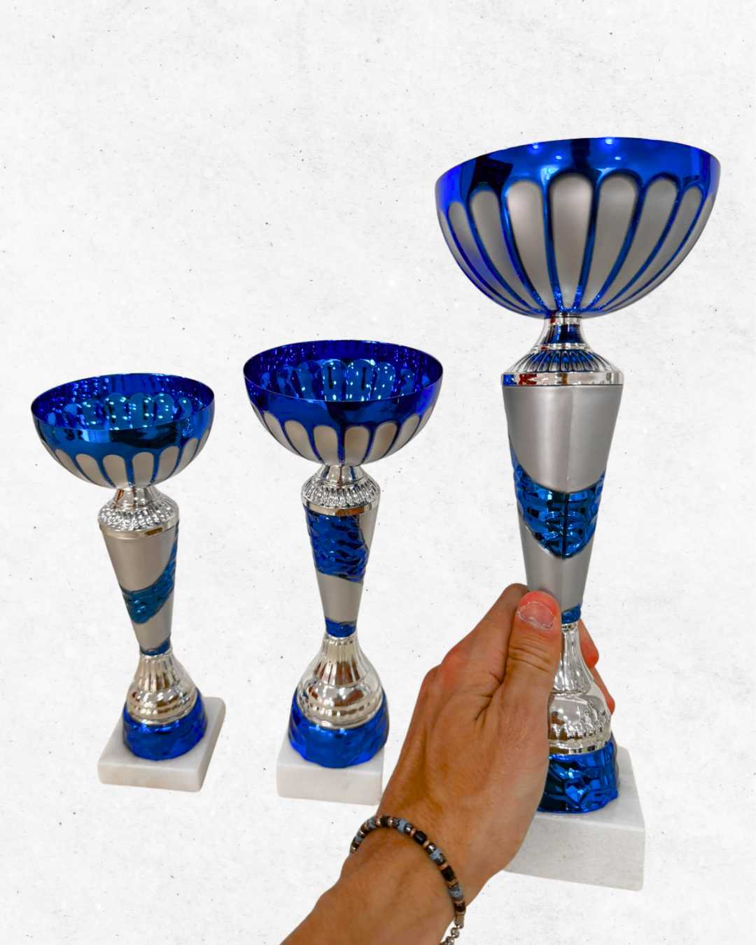 Tris di Coppe: Fascia Azzurra - immagine 4