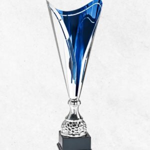 Super coppa singola linea blu